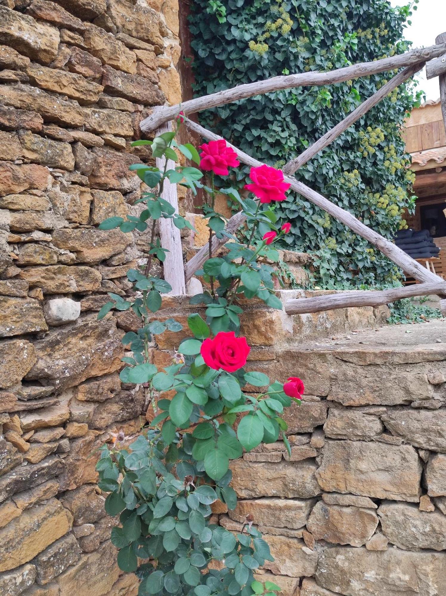 Masia Riu Dels Arbres Benassal Bagian luar foto